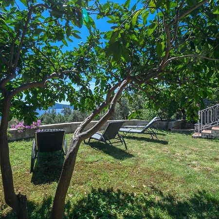 Apartment Mario - Veliki Stan Za Odmor - Terasa- Vrt - Bazen - Pogled More, Izoliran Орашац Экстерьер фото
